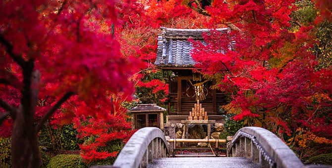 永觀堂・南禪寺的寺寶展和特別參拜