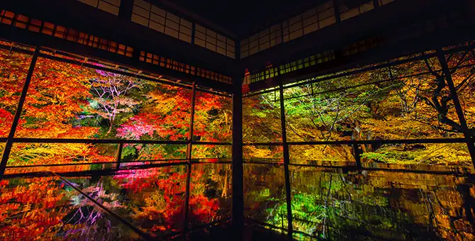 琉璃光院的秋季特別參拜和紅葉
