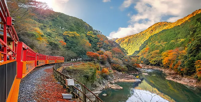 從嵐山嵯峨野觀光小火車觀賞秋葉