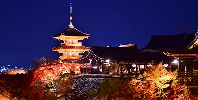 寺社佛閣的秋季夜間特別參拜・紅葉點燈