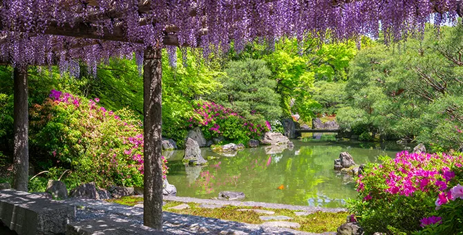 在城南宮賞花之旅