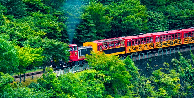 沿著嵐山嵯峨野觀光小火車遊覽，欣賞沿途的鬱鬱蔥蔥景色。