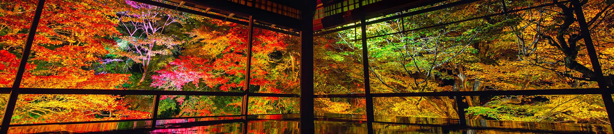 京都的四季和活動