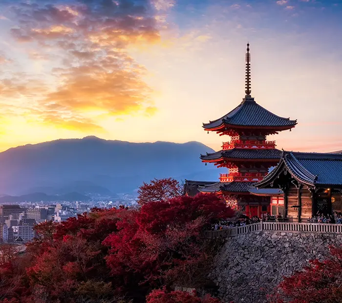 薄野
