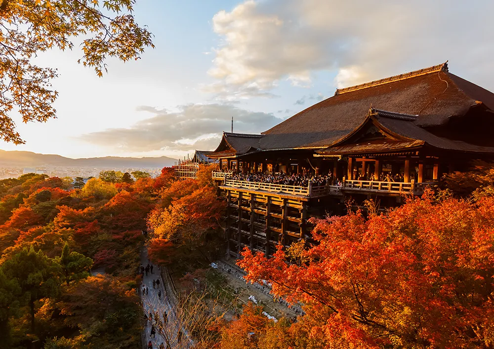 清水寺/市營巴士約30分鐘
